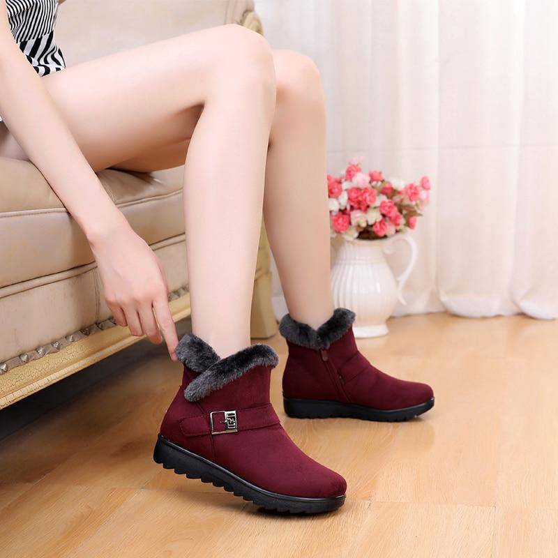 Warm Whisper - 图片 5