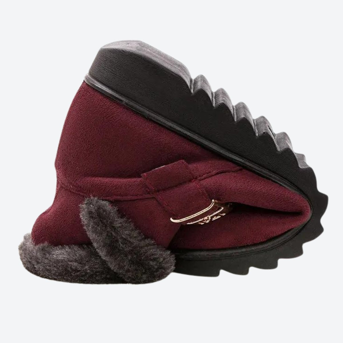 Warm Whisper - 图片 3